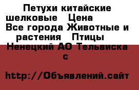 Петухи китайские шелковые › Цена ­ 1 000 - Все города Животные и растения » Птицы   . Ненецкий АО,Тельвиска с.